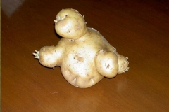Potato Person-1