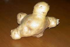 Potato Person-2