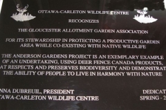 2009AGM11